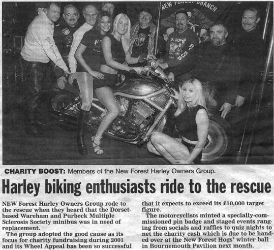 New Forest - from a recent Newspaper